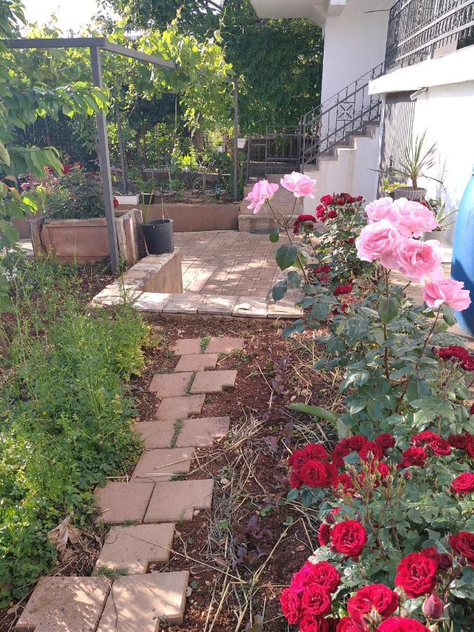 Aparttoni Dobra Voda Zewnętrze zdjęcie